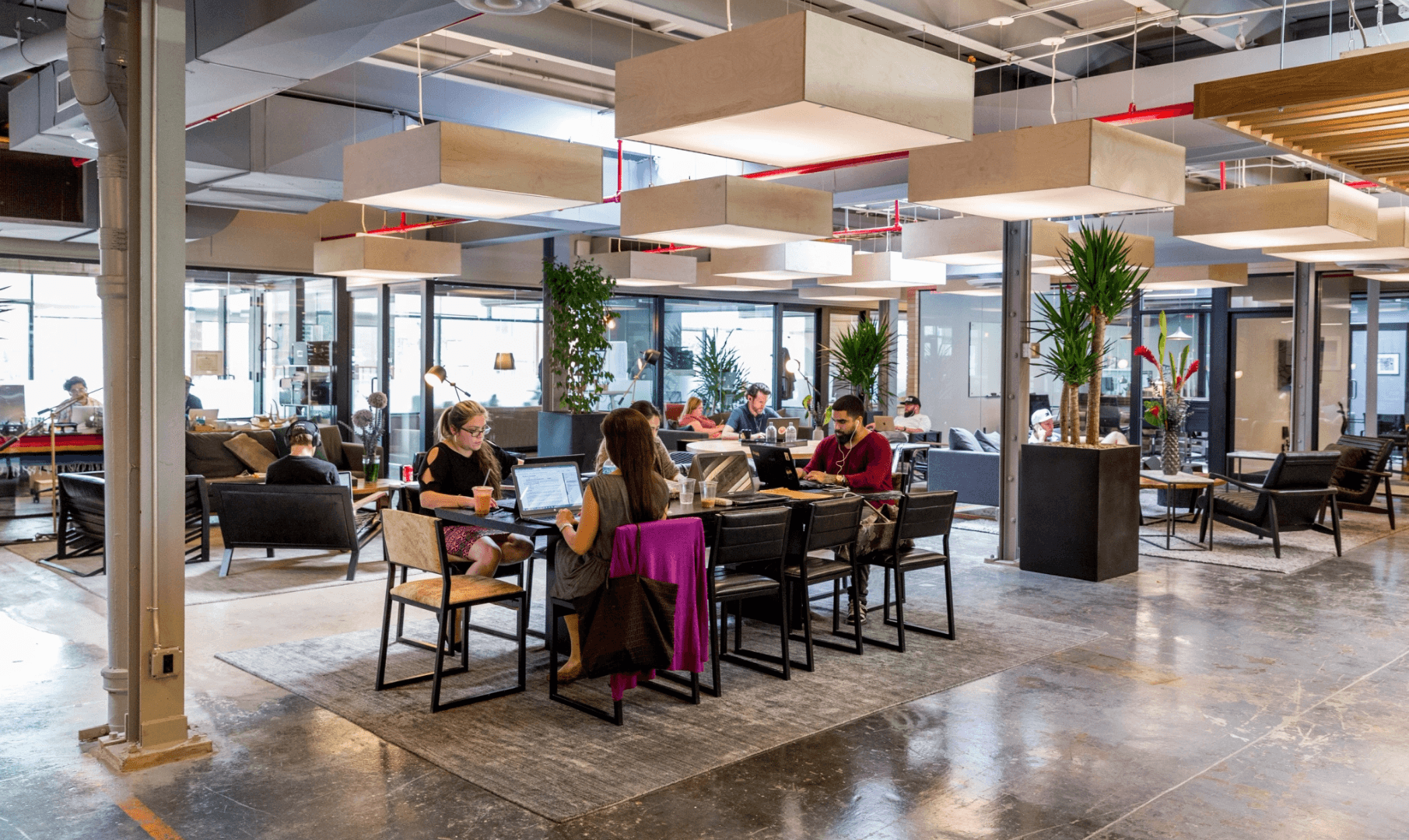 Devoto Labs office space